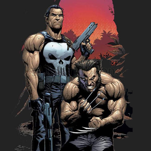 Punisher T-shirts Iron On Transfers N5076 - Click Image to Close